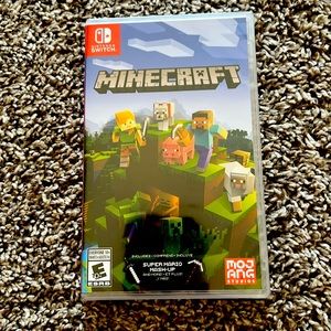 Nintendo Switch Game